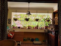 Blk 752 Pasir Ris Street 71 (Pasir Ris), HDB 5 Rooms #372082501